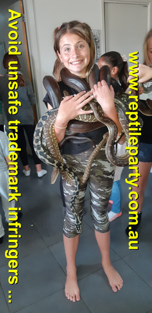 Reptile Party Hire